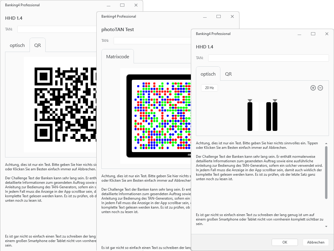 Banking4 Professional PIN/TAN-Verfahren