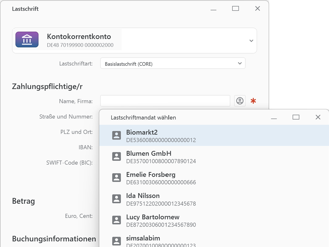 Banking4 Professional Basislastschrift